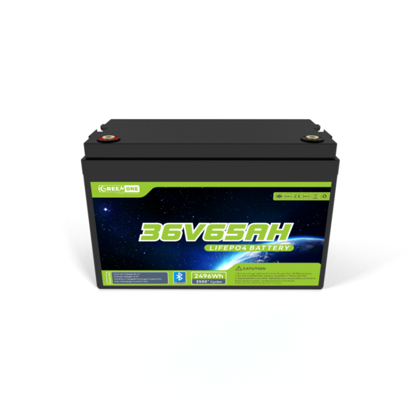 36V65AH 02